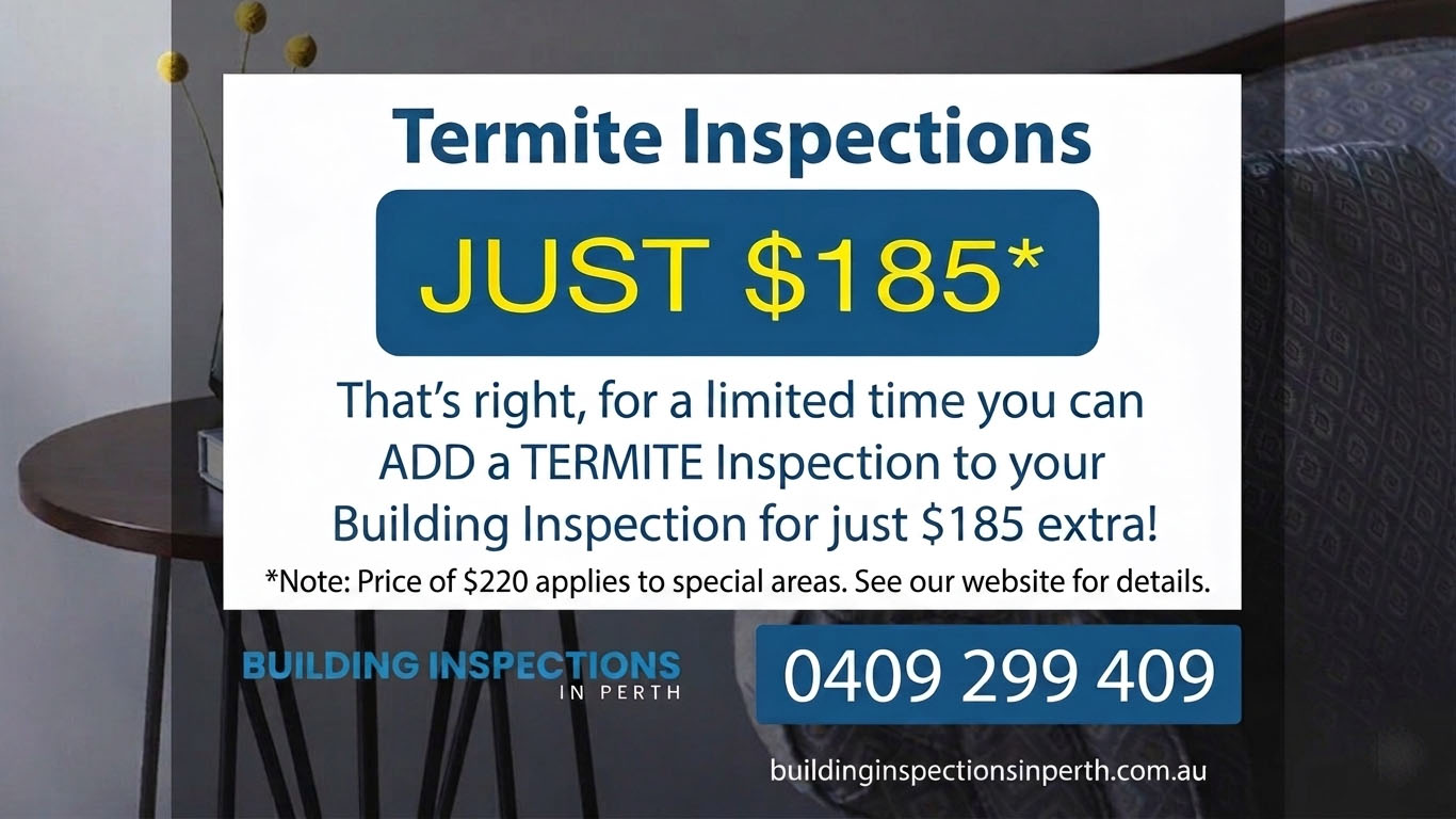 termite inspection